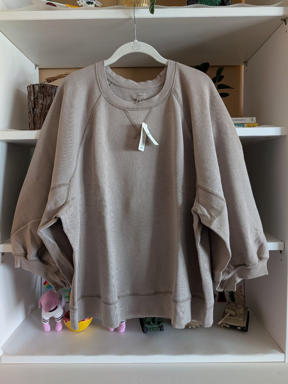 Aerie Femme Sweatshirt